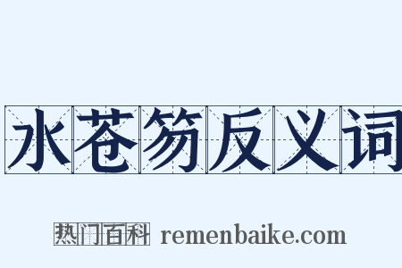 水苍笏反义词是什么意思的图片